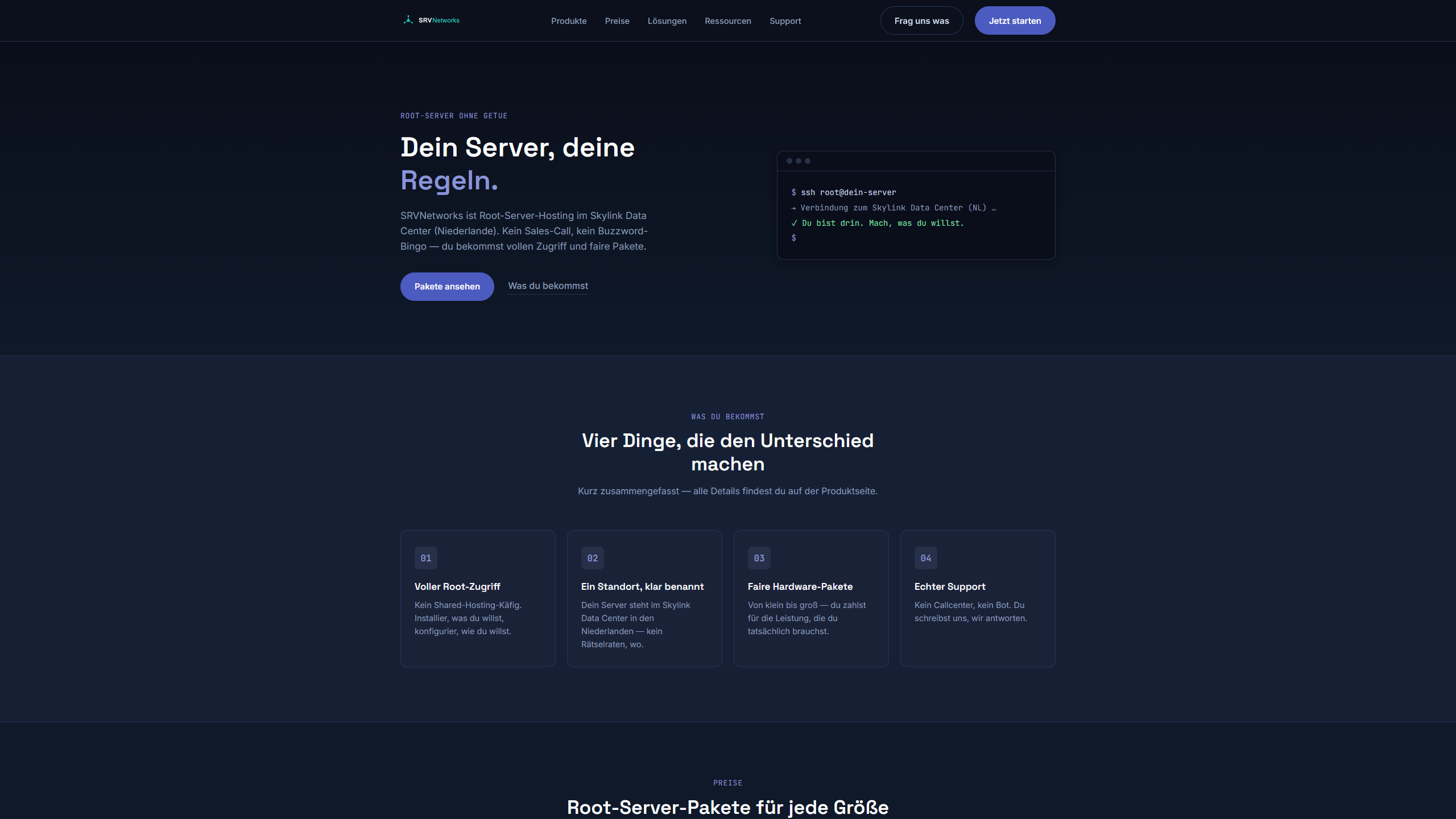 Startseite von SRVNetworks